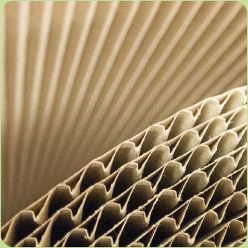 Ready to Explore Eco-Friendly Display Materials? Now's the Perfect Time! Ready to Explore Eco-Friendly Display Materials? Now's the Perfect Time!